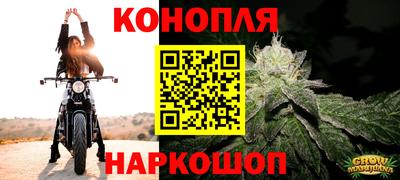 прущий лед Бийск