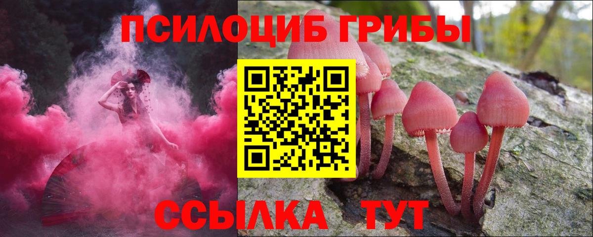Белгород  Галлюциногенные грибы мухоморы  Вход с VPN 